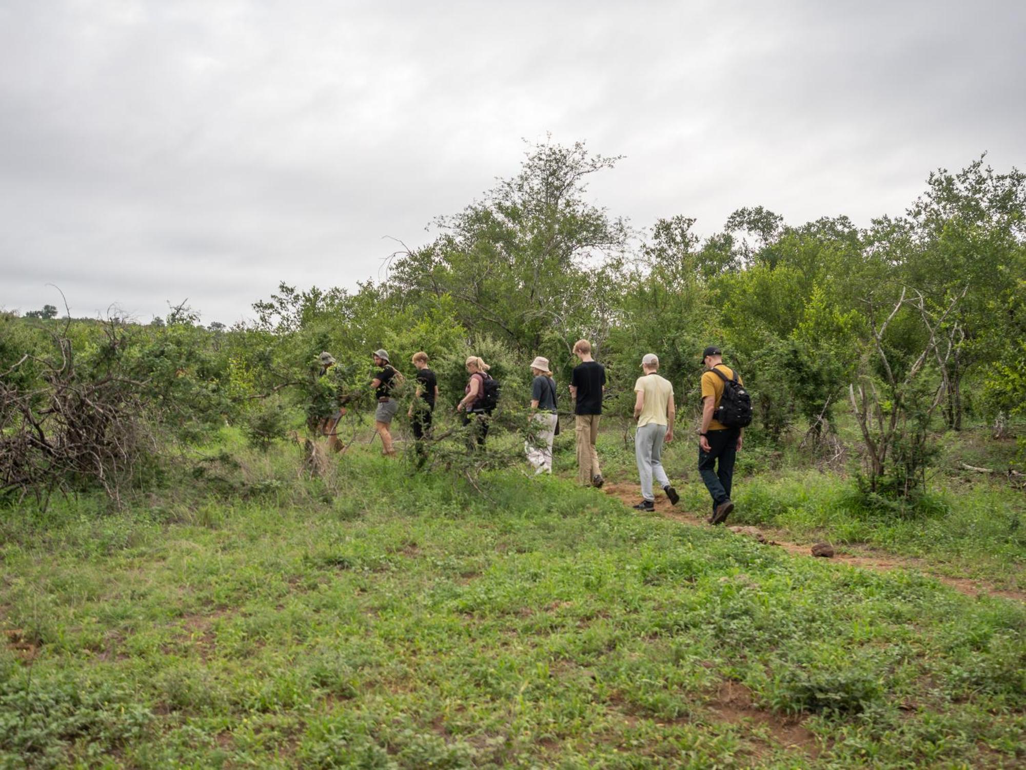 Nyati Safari Lodge Hoedspruit Esterno foto
